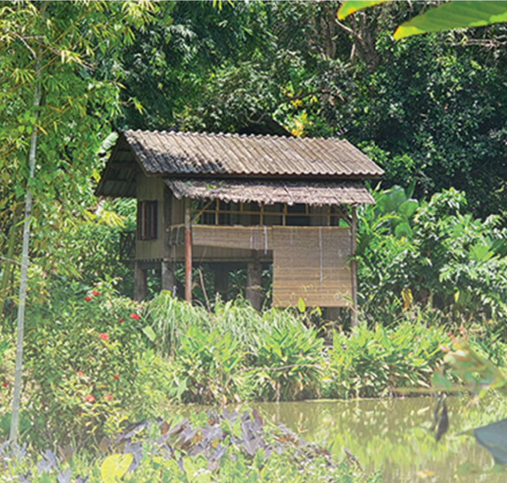 House 8