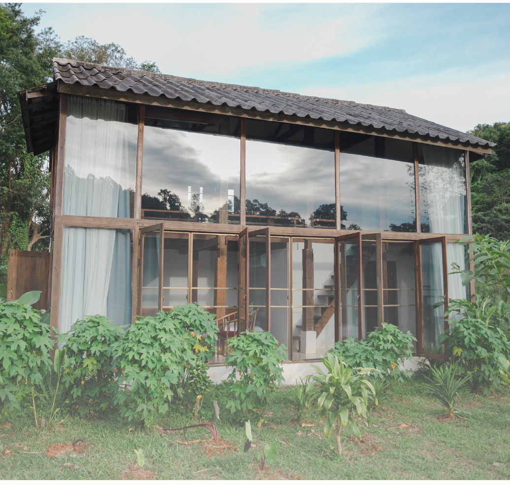 House 8
